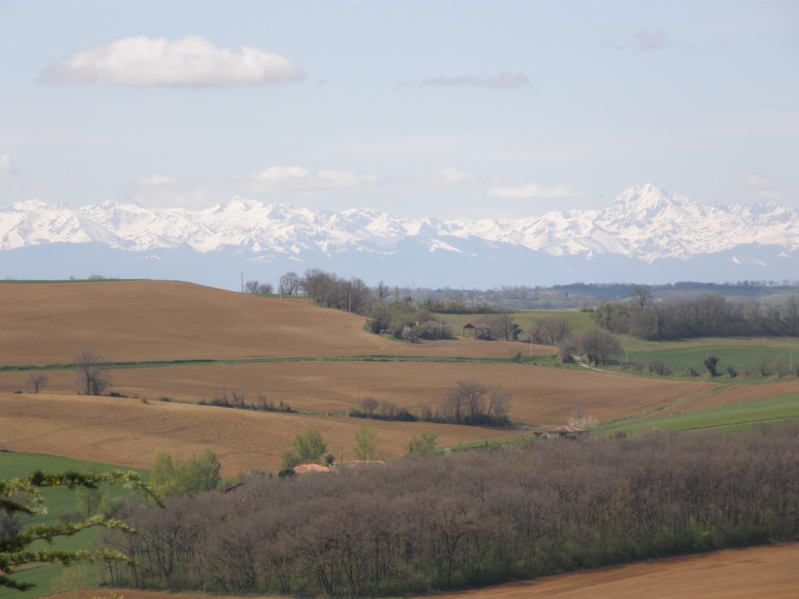 Laymont - Vue sur les Pyrénées
