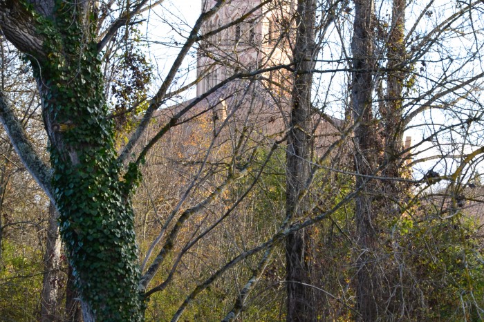 Cathédrale Sainte-Marie de Lombez - Cathédrale Sainte-Marie de Lombez