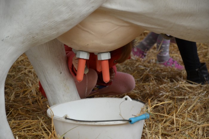 Foire agricole 2016 - 12