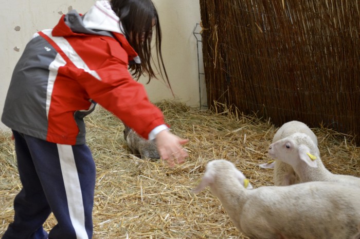 Foire agricole 2016 - 13