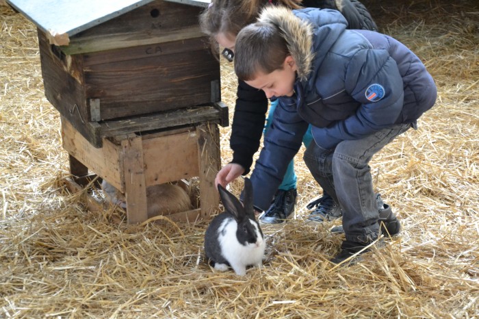 Foire agricole 2016 - 15