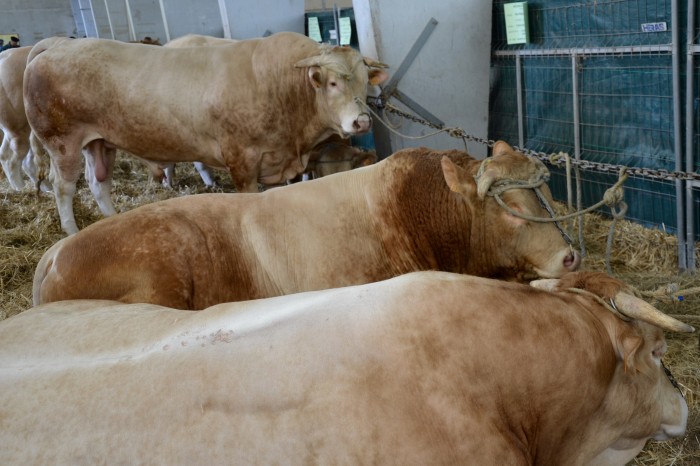 Foire agricole 2016 - 16