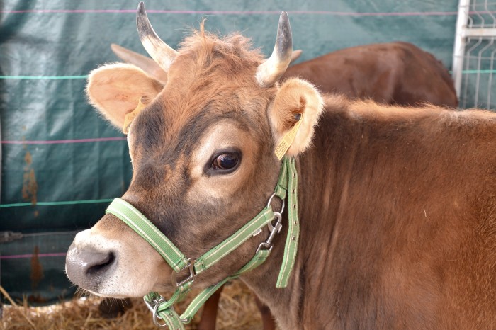 Foire agricole 2016 - 18