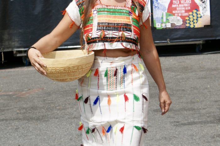 Sam'Africa 2016 - Défilé de costumes traditionnels nigériens