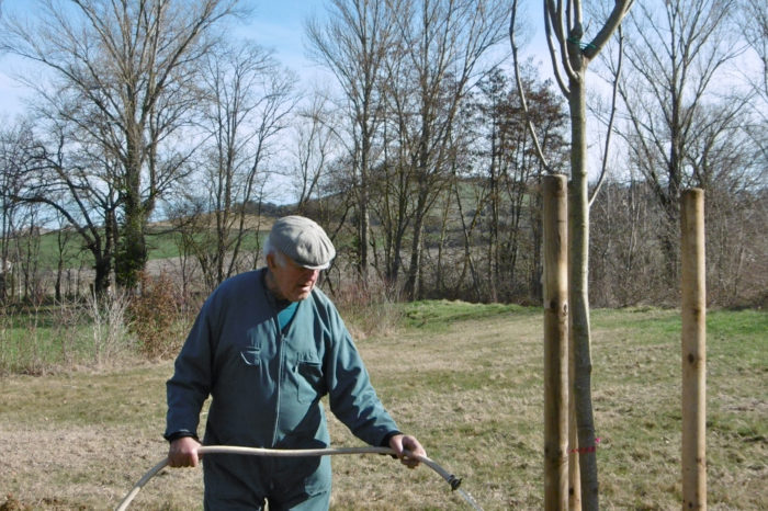 Plantation montégut-saves2