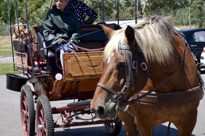 Fête foraine TAP La Ramondère - juin 2017