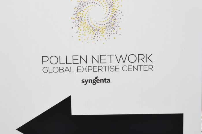 Syngenta - Tout est dans le texte...