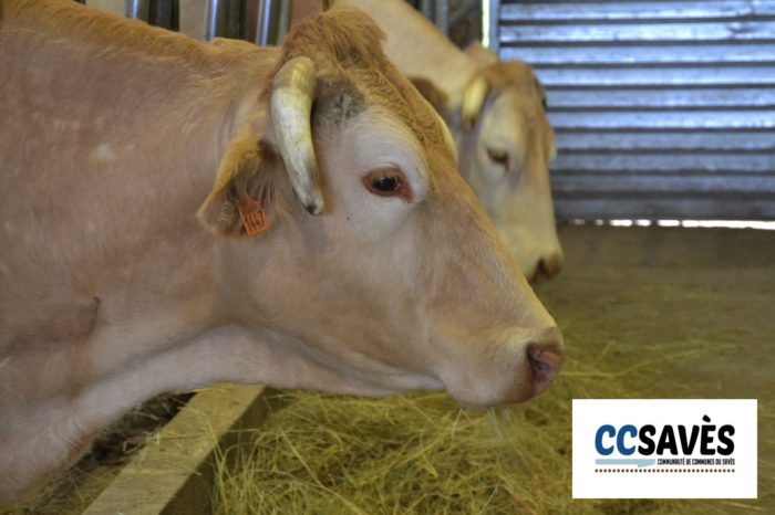 Journée à la ferme Garravet - avril 2019