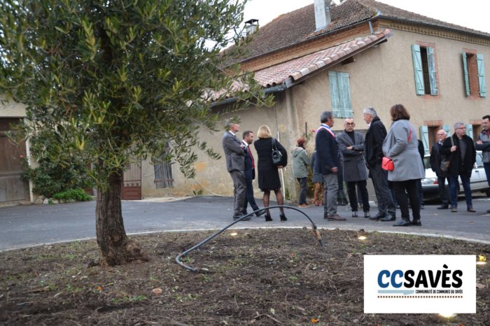 Auditorium Tournan - décembre 2019-1 - L'olivier du coeur de village
