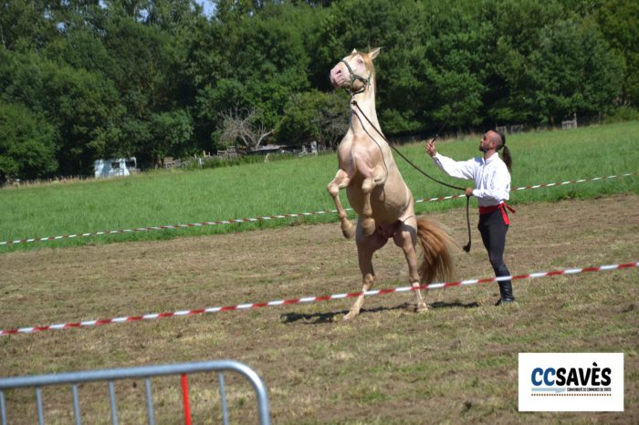 Lombez- Un été dans le Savès juillet 2021-2 - Le cheval de Joffrey de Peyrac 