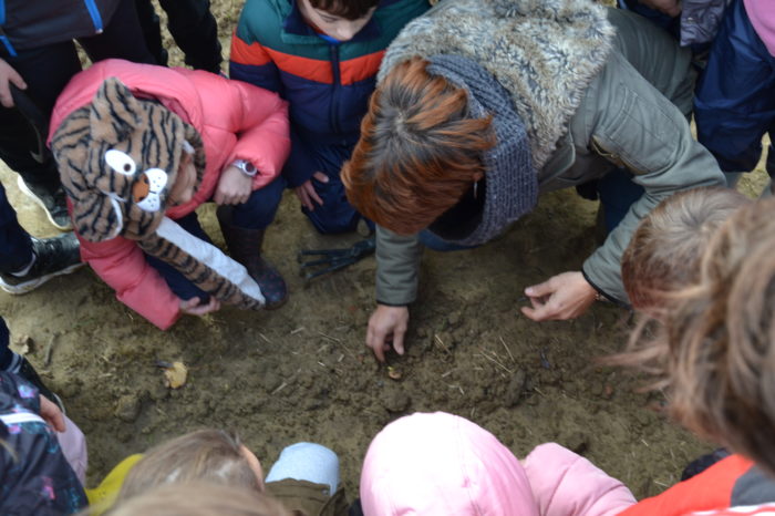 DSC_0765 - Le plaisir de constater l'évolution des plantations DSC_0765 - Le plaisir de constater l'évolution des plantations