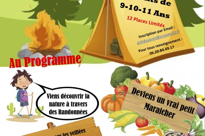 Affiche mini camps sabaillan