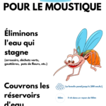 Affiche moustiques CC Savès