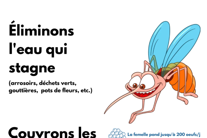 Le moustique tigre  Anses - Agence nationale de sécurité sanitaire de  l'alimentation, de l'environnement et du travail