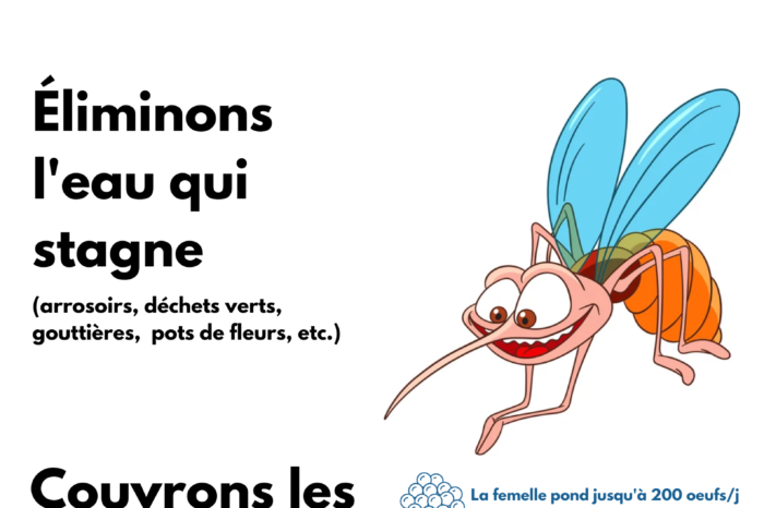 Affiche moustiques CC Savès