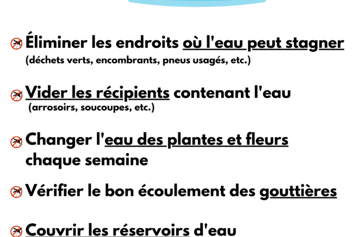 Détail affiche anti-moustique Détail affiche anti-moustique