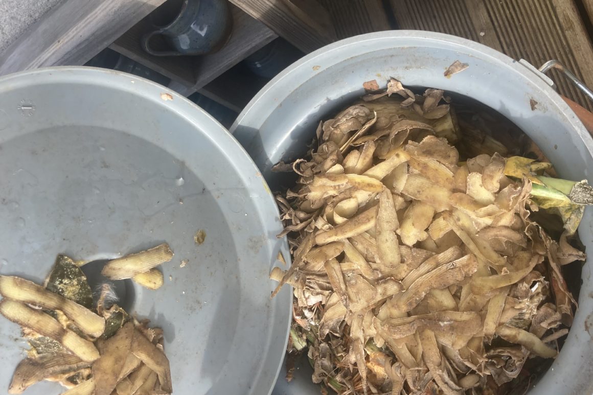 déchets organiques ccsaves