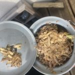 déchets organiques ccsaves