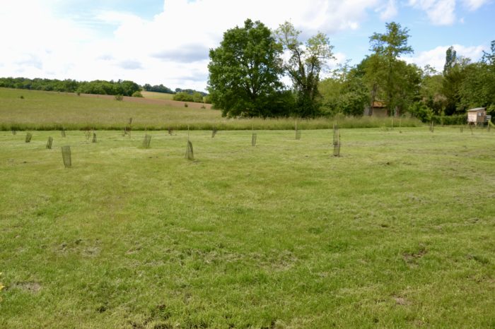 DSC_2188 - "Le jardin" de l'hôtel de ville
 DSC_2188 - "Le jardin" de l'hôtel de ville