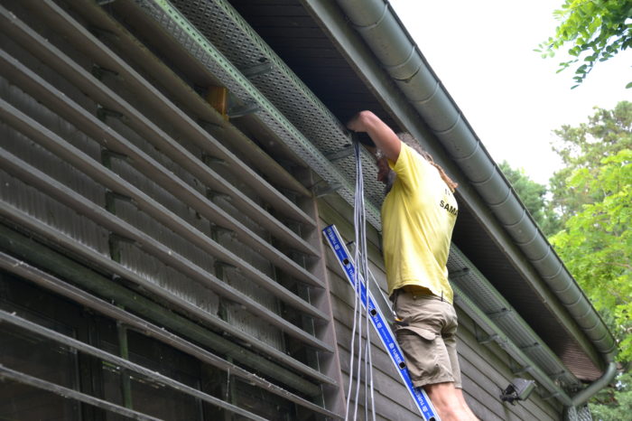 DSC_2328 - Câblage DSC_2328 - Câblage