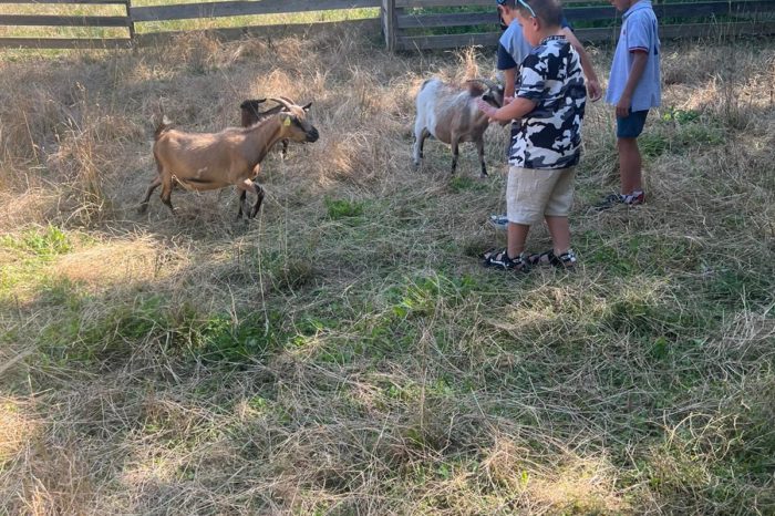 Camp de Pompiac de 10 au 12 juillet - Pompiac - Fermette des 3 Camp de Pompiac de 10 au 12 juillet - Pompiac - Fermette des 3
