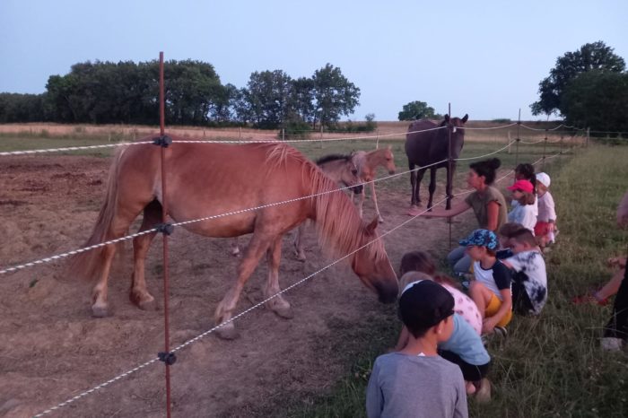 Camp de Pompiac2 de 10 au 12 juillet - Pompiac - Fermette des 3 Camp de Pompiac2 de 10 au 12 juillet - Pompiac - Fermette des 3