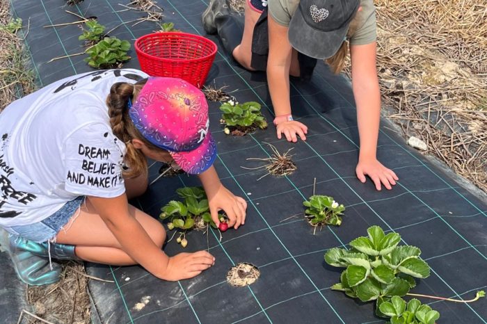 Camp de Sabaillan2 15 au 19 juillet 2024 - Sabaillan - Les Cabas Camp de Sabaillan2 15 au 19 juillet 2024 - Sabaillan - Les Cabas