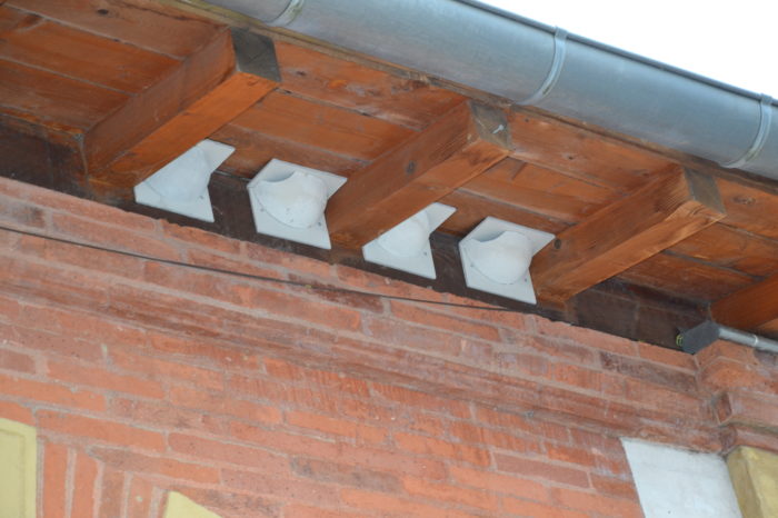 Hirondelles4 - juillet 2024 - Nids artificiels Hirondelles4 - juillet 2024 - Nids artificiels