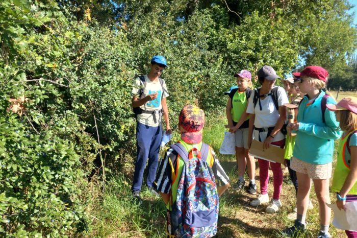 Rando4 lombez-laymont - juillet 2024 - À la découverte des plantes comestibles Rando4 lombez-laymont - juillet 2024 - À la découverte des plantes comestibles