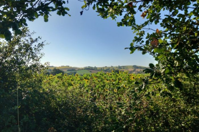 Rando7 lombez-laymont - juillet 2024 - Temps rêvé pour la balade Rando7 lombez-laymont - juillet 2024 - Temps rêvé pour la balade