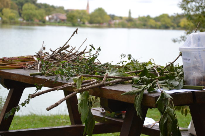 2280DA46-69F6-47AE-8E5C-A41575D8E42E - Nature morte 2280DA46-69F6-47AE-8E5C-A41575D8E42E - Nature morte