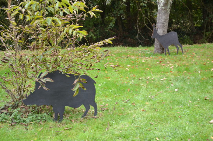 D172191F-38C7-4025-8209-DF9BF4FEABED - Atelier biodiversité D172191F-38C7-4025-8209-DF9BF4FEABED - Atelier biodiversité